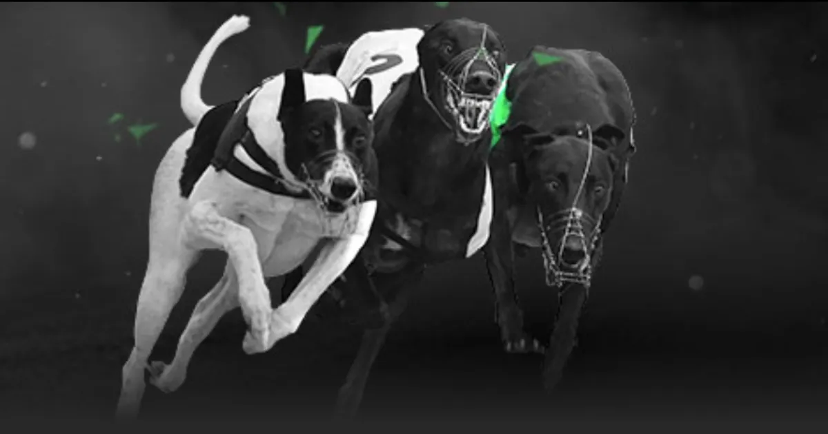 震惊,前国足名将,赵鹏犀利点,Bet365中文版,Bet365台灣,bet365官網,bet365網址,bet365,app下載